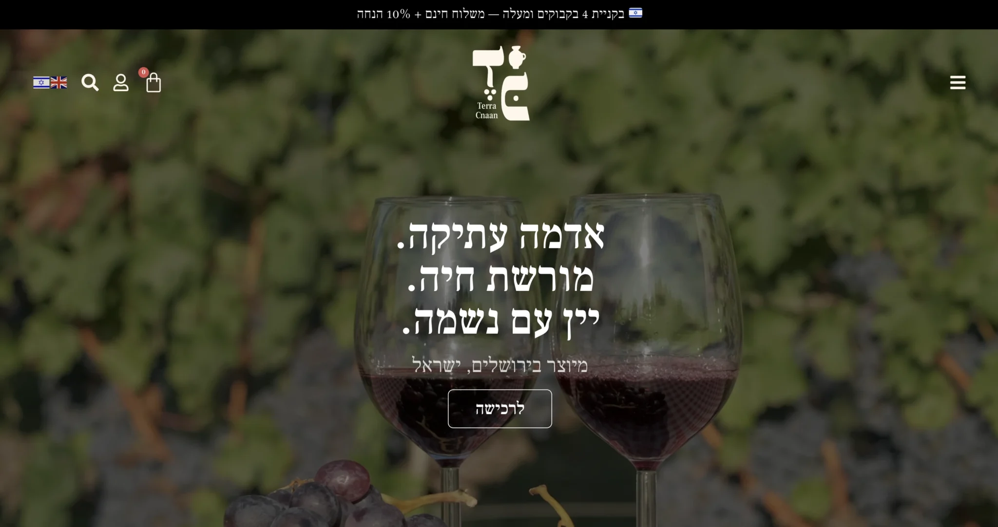 צילום מסך 2026-01-04 ב-14.02.48